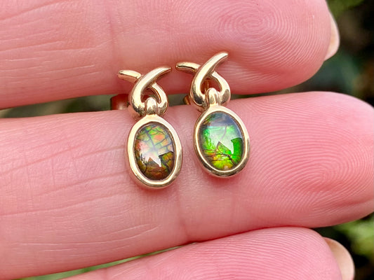 9ct Gold Ammolite earrings