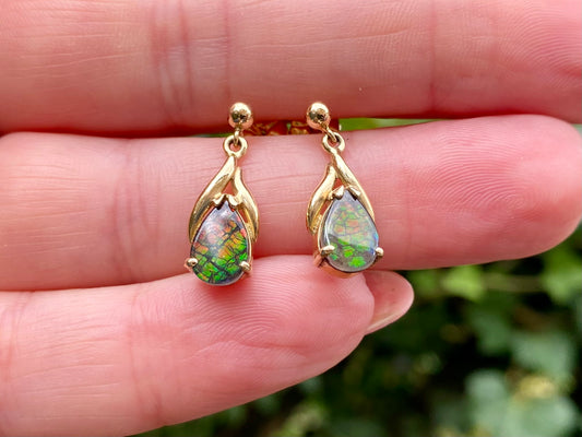 14ct Gold Ammolite earrings