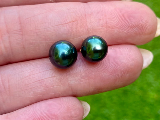 9ct Gold Tahitian Cultured Pearl Earrings